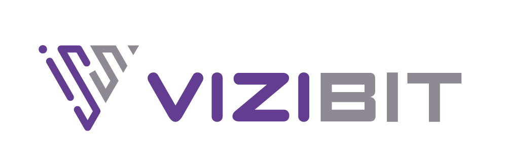vizibit logo
